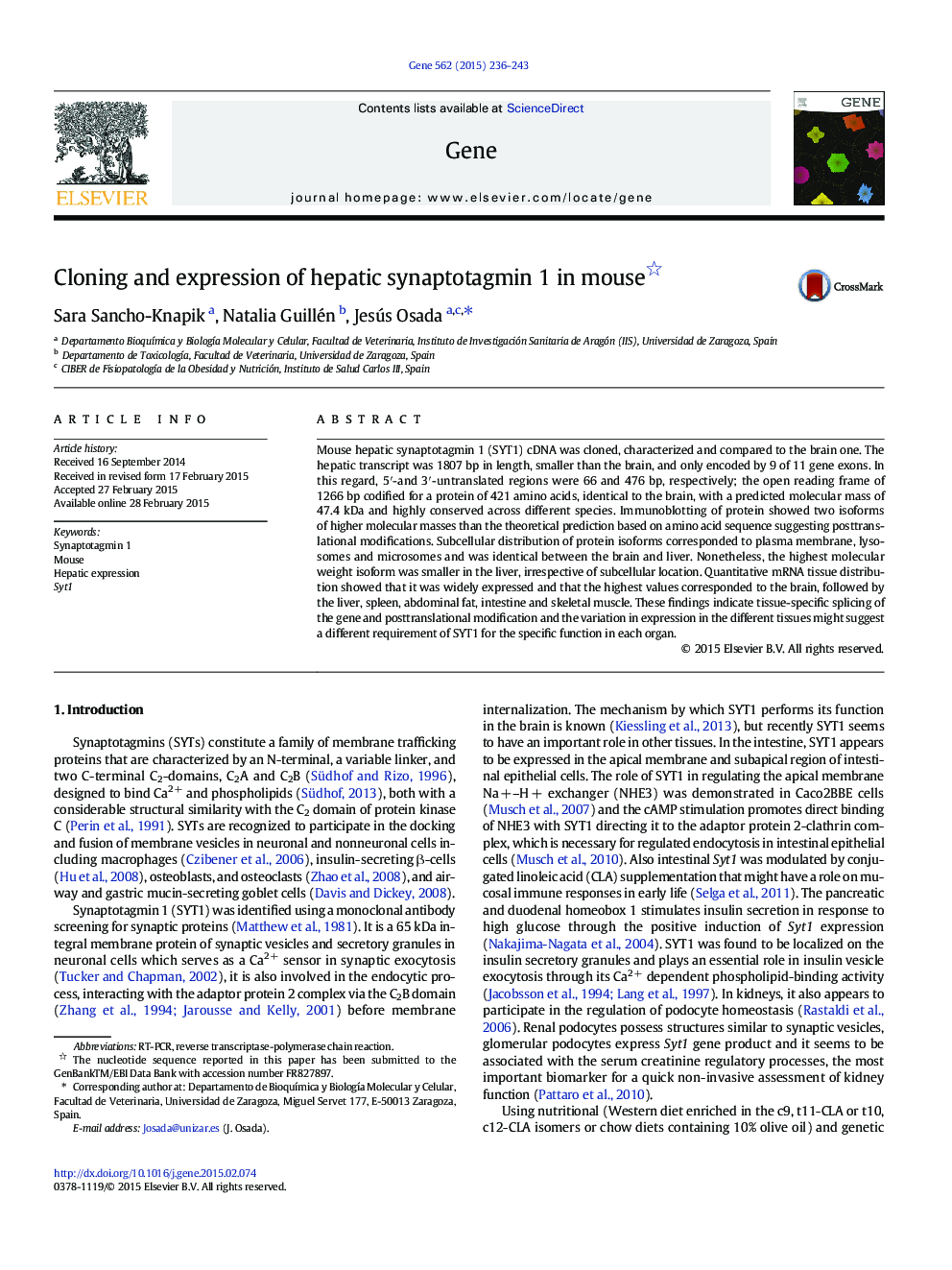 Cloning and expression of hepatic synaptotagmin 1 in mouse 