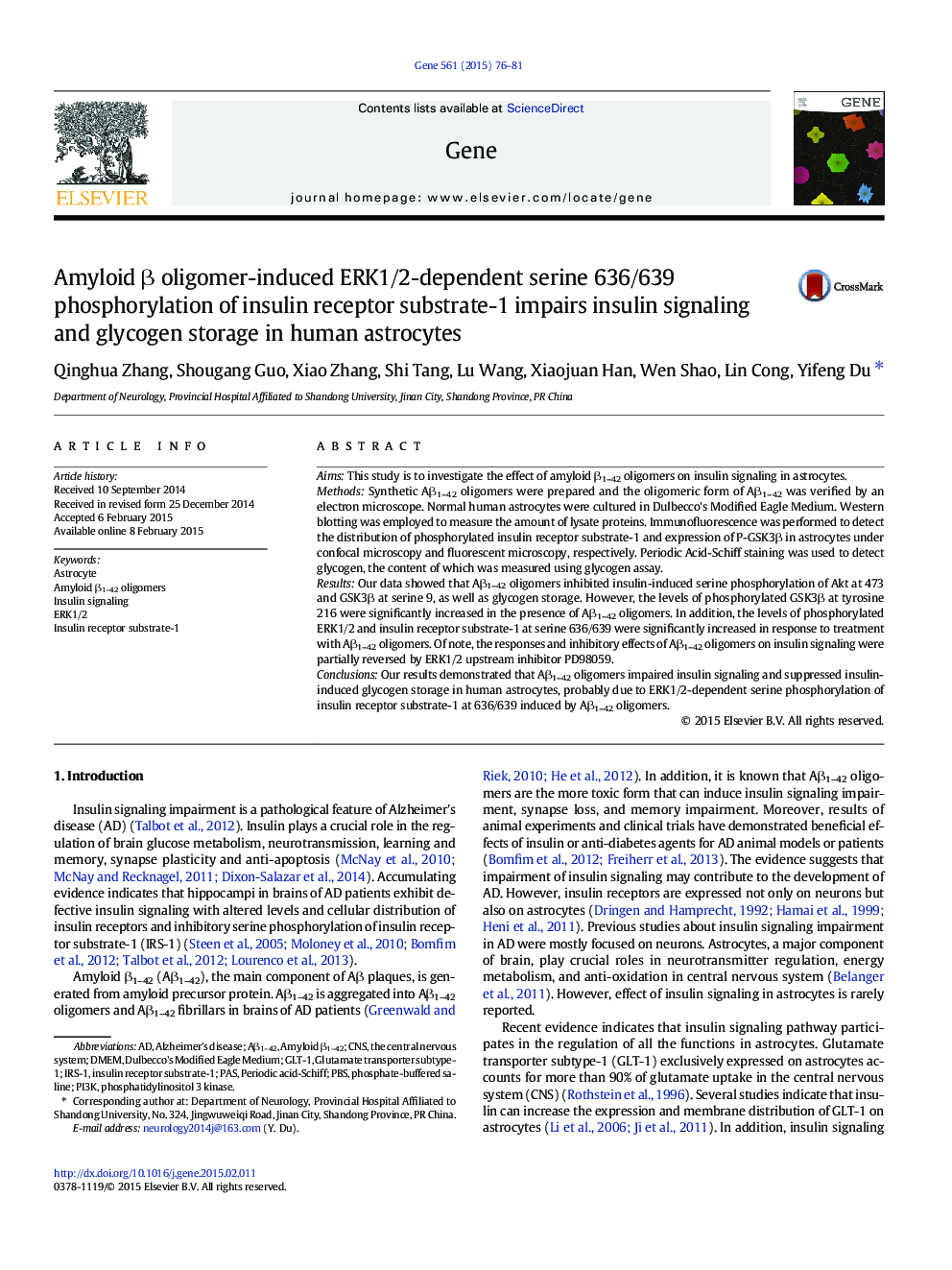 Amyloid β oligomer-induced ERK1/2-dependent serine 636/639 phosphorylation of insulin receptor substrate-1 impairs insulin signaling and glycogen storage in human astrocytes