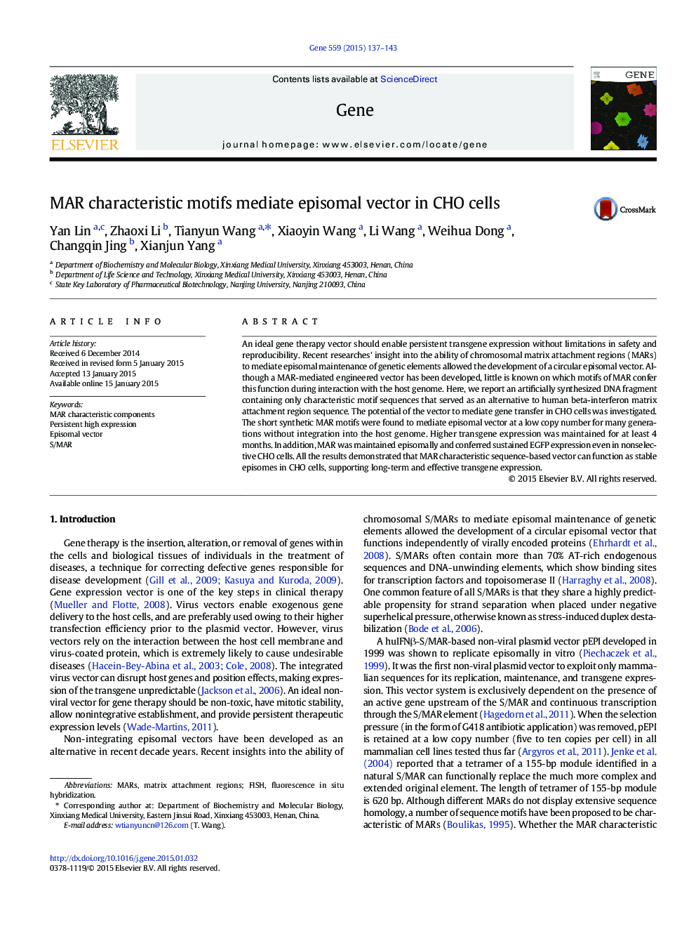 MAR characteristic motifs mediate episomal vector in CHO cells