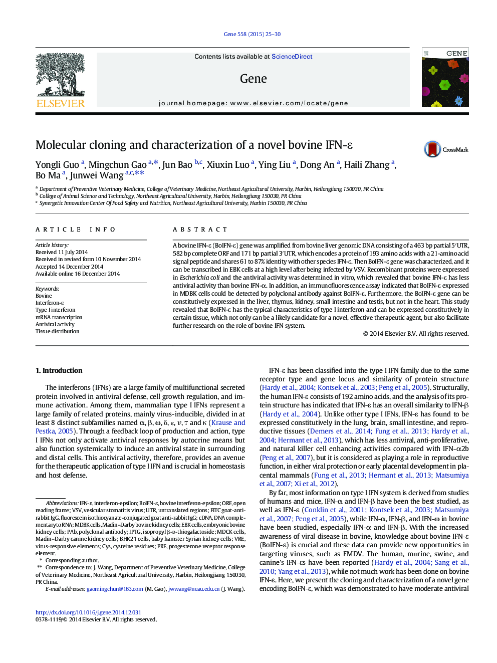 Molecular cloning and characterization of a novel bovine IFN-ε