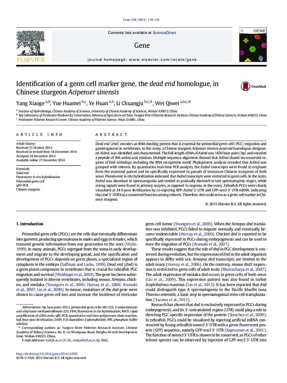 Identification of a germ cell marker gene, the dead end homologue, in Chinese sturgeon Acipenser sinensis