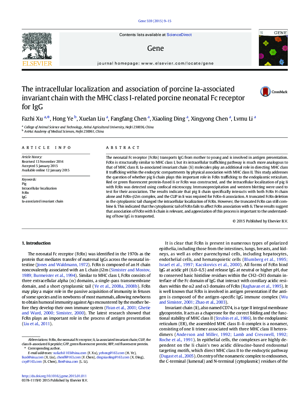 The intracellular localization and association of porcine Ia-associated invariant chain with the MHC class I-related porcine neonatal Fc receptor for IgG