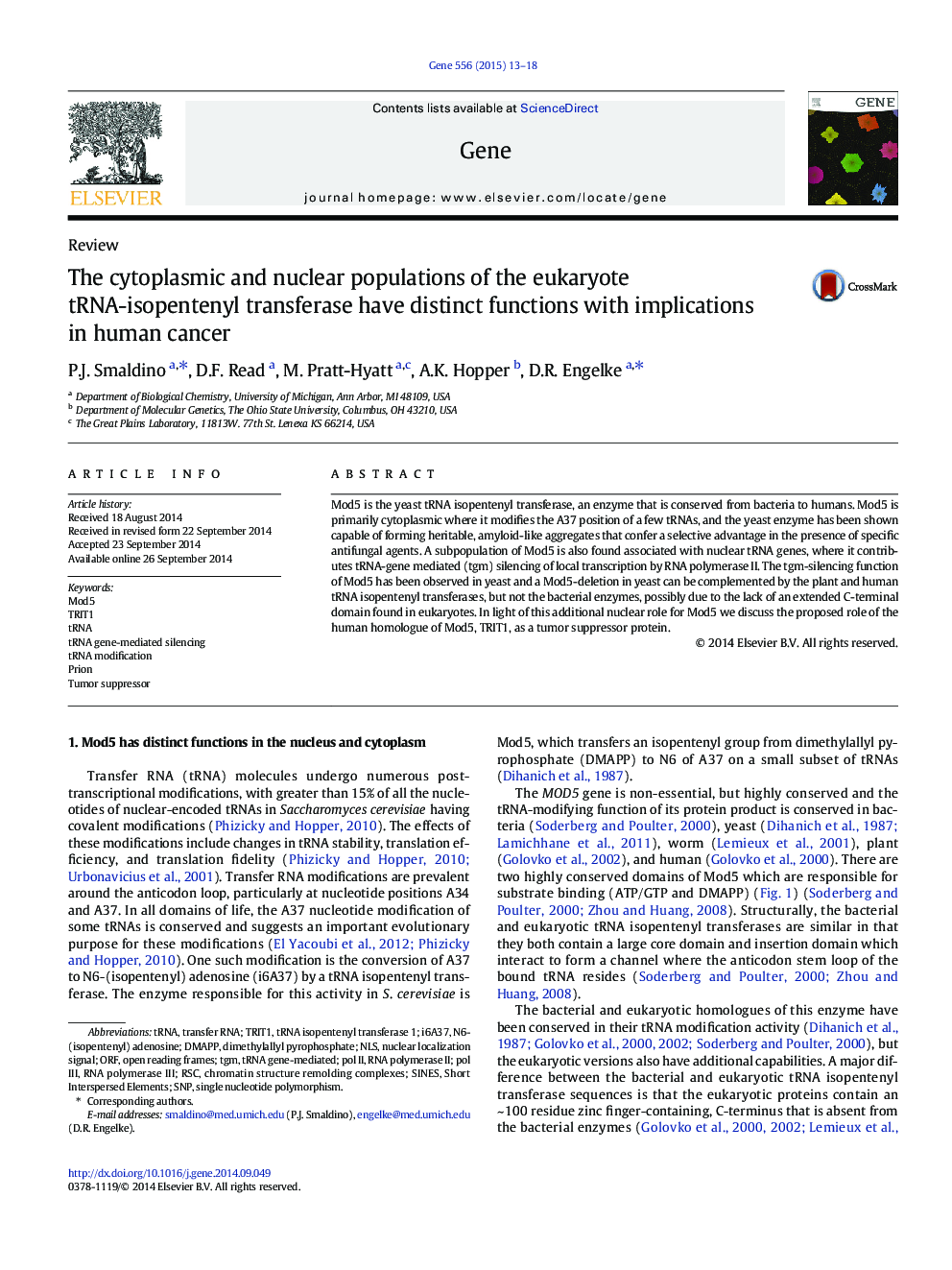 The cytoplasmic and nuclear populations of the eukaryote tRNA-isopentenyl transferase have distinct functions with implications in human cancer