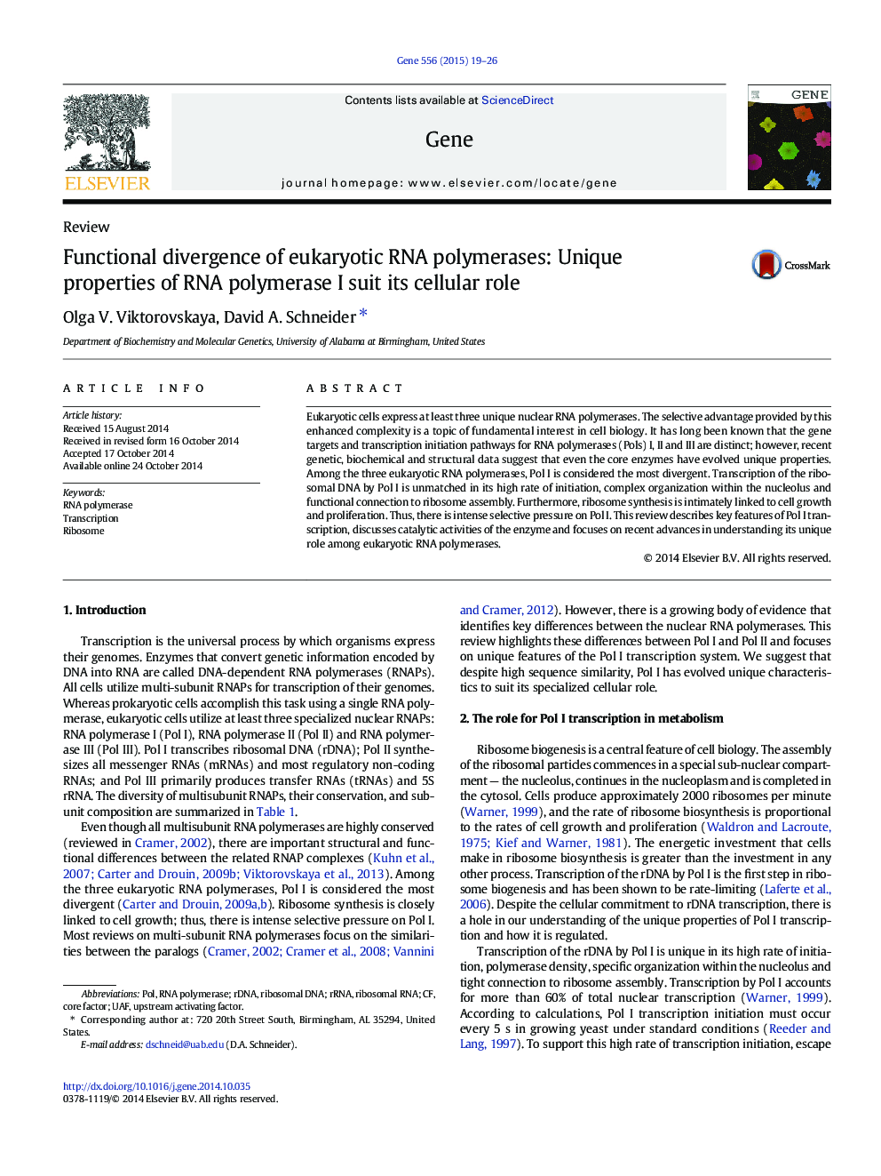 Functional divergence of eukaryotic RNA polymerases: Unique properties of RNA polymerase I suit its cellular role