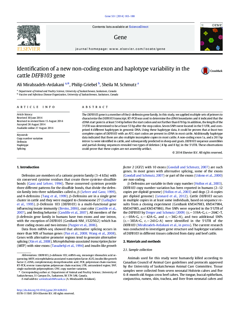 Identification of a new non-coding exon and haplotype variability in the cattle DEFB103 gene