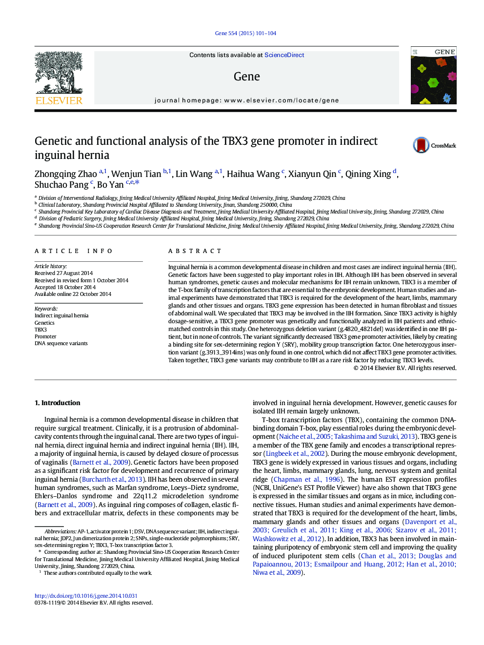 Genetic and functional analysis of the TBX3 gene promoter in indirect inguinal hernia