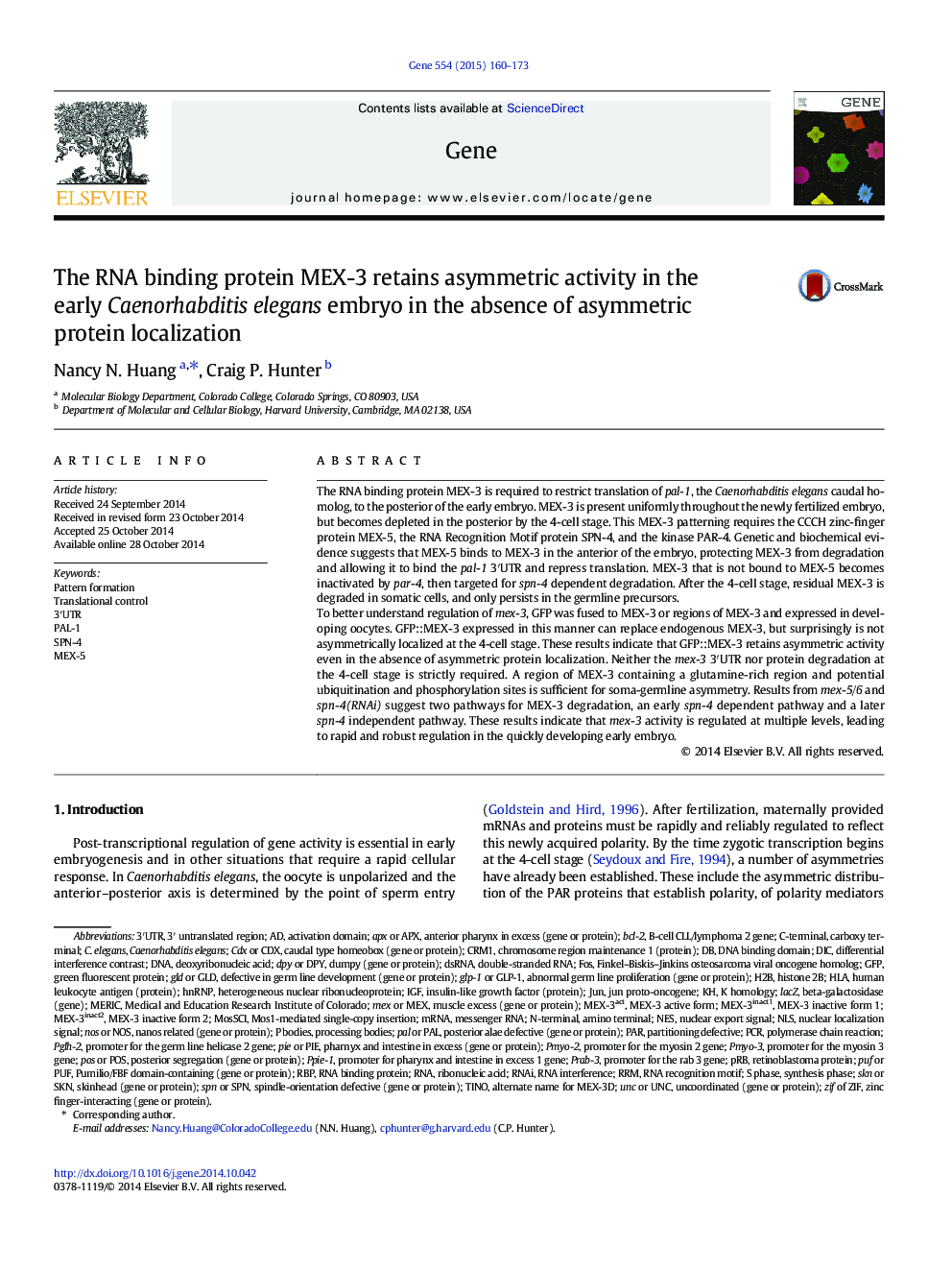 The RNA binding protein MEX-3 retains asymmetric activity in the early Caenorhabditis elegans embryo in the absence of asymmetric protein localization