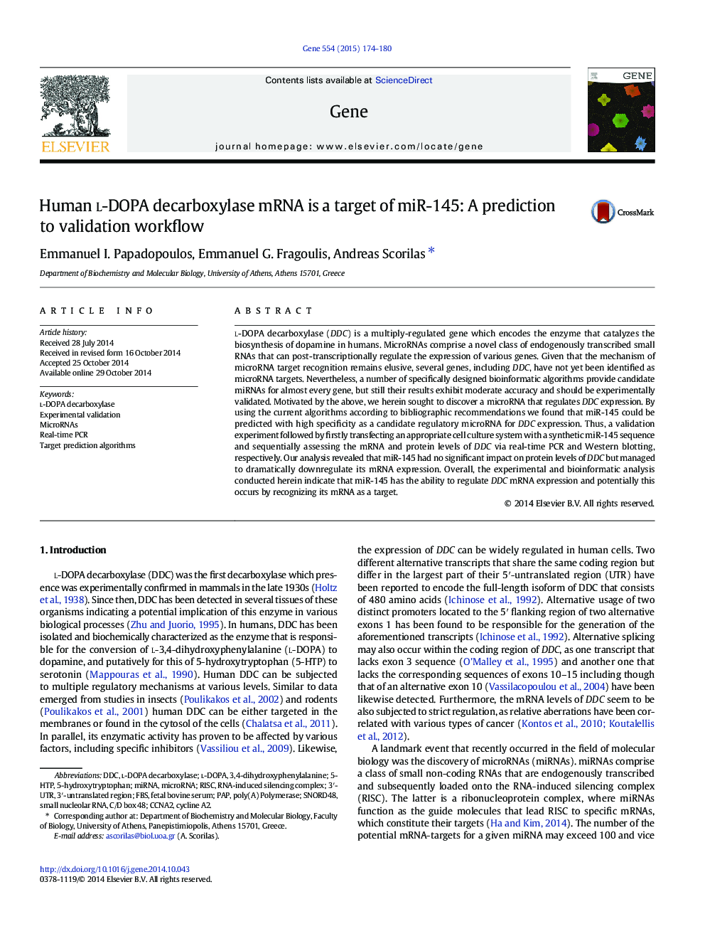 Human l-DOPA decarboxylase mRNA is a target of miR-145: A prediction to validation workflow