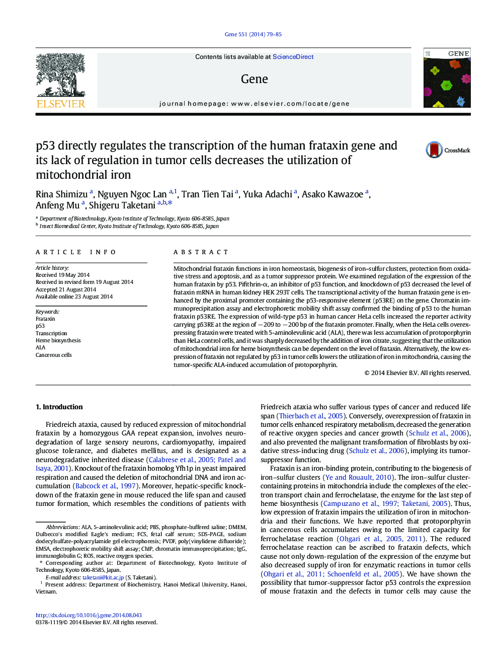 p53 directly regulates the transcription of the human frataxin gene and its lack of regulation in tumor cells decreases the utilization of mitochondrial iron