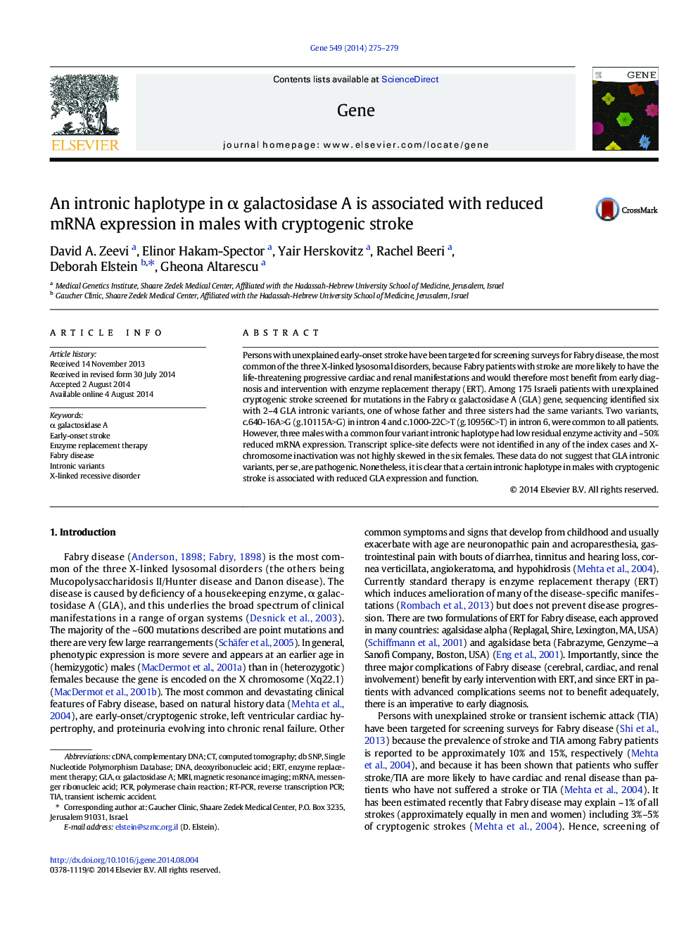 An intronic haplotype in α galactosidase A is associated with reduced mRNA expression in males with cryptogenic stroke