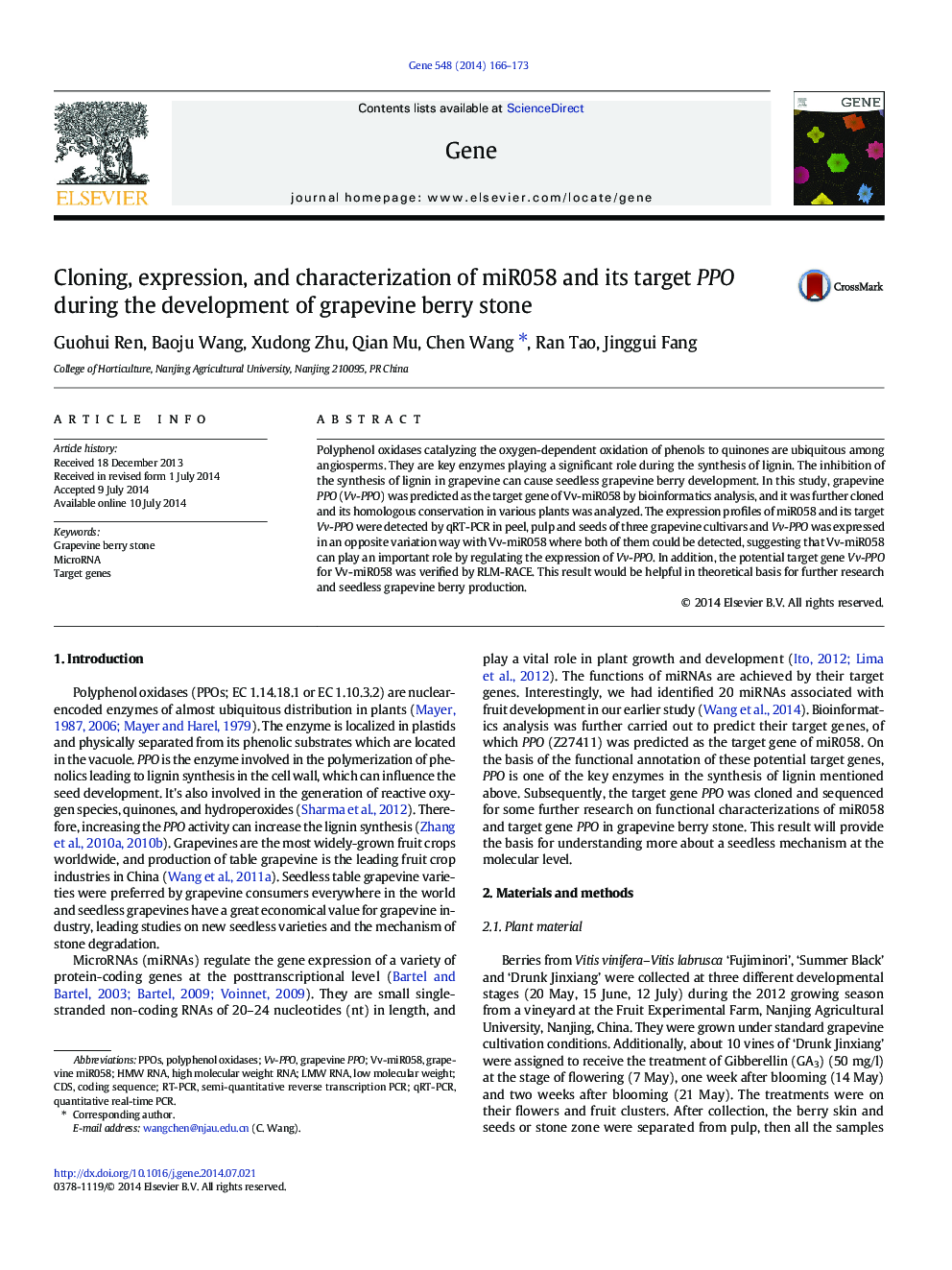 Cloning, expression, and characterization of miR058 and its target PPO during the development of grapevine berry stone