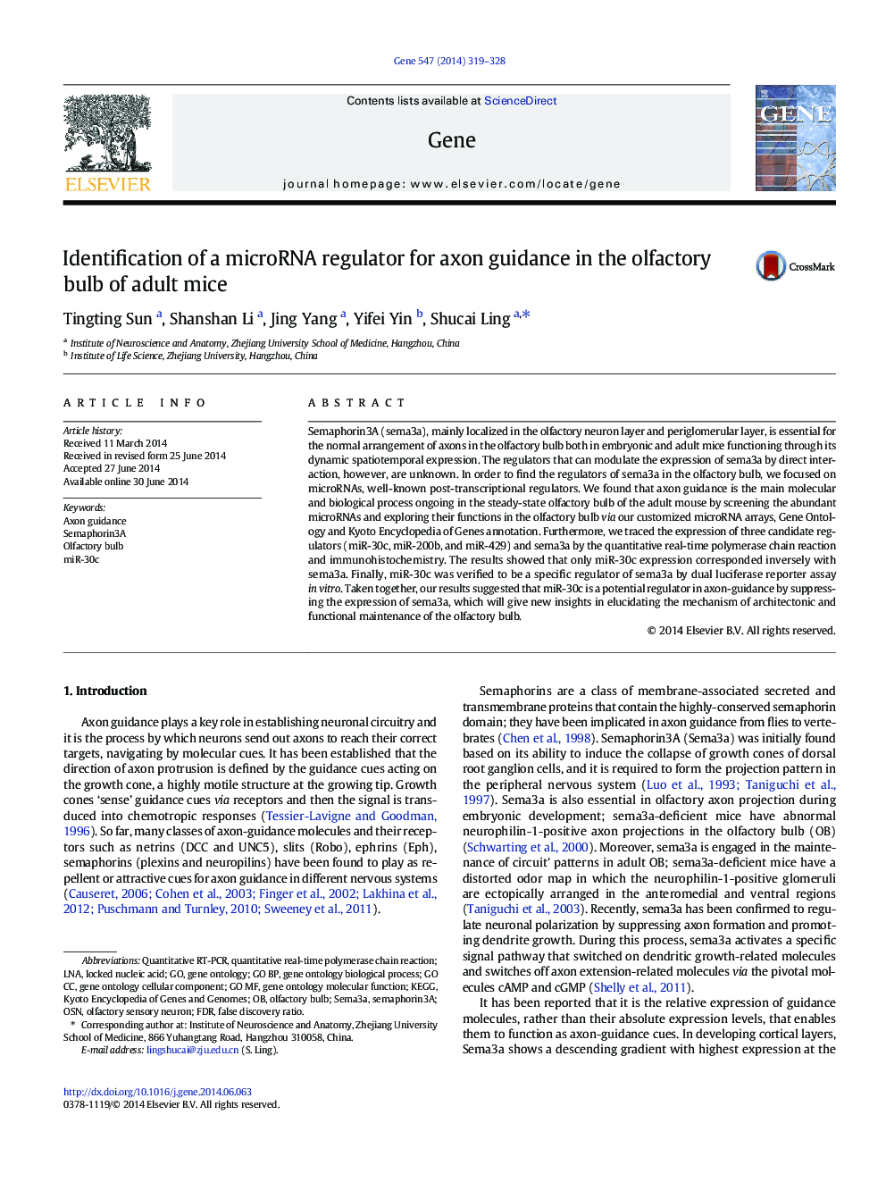 Identification of a microRNA regulator for axon guidance in the olfactory bulb of adult mice