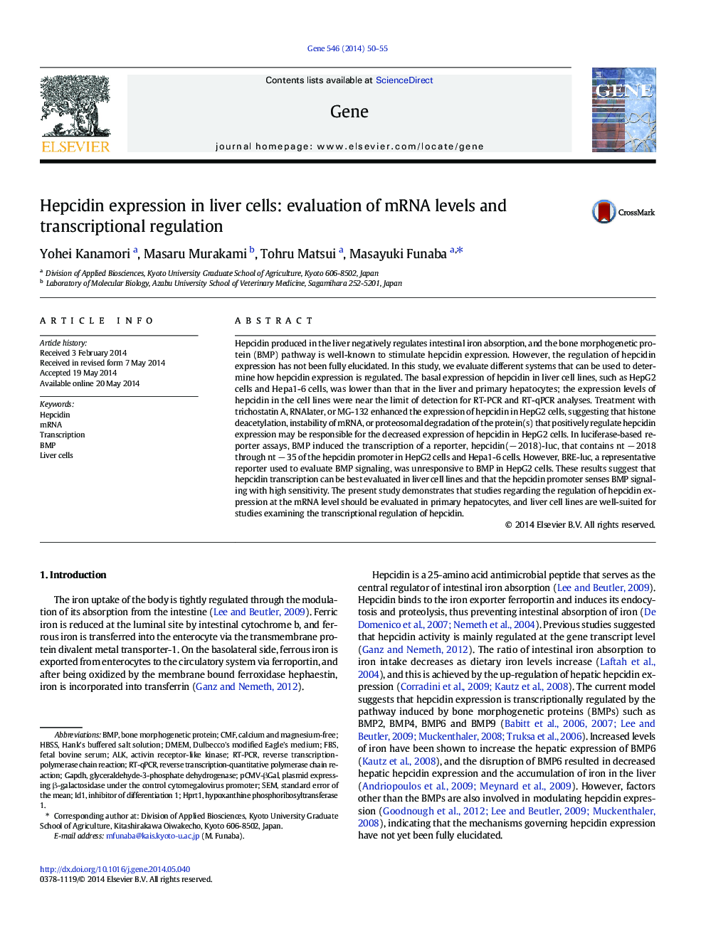 Hepcidin expression in liver cells: evaluation of mRNA levels and transcriptional regulation