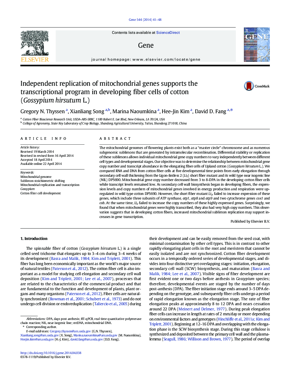 Independent replication of mitochondrial genes supports the transcriptional program in developing fiber cells of cotton (Gossypium hirsutum L.)