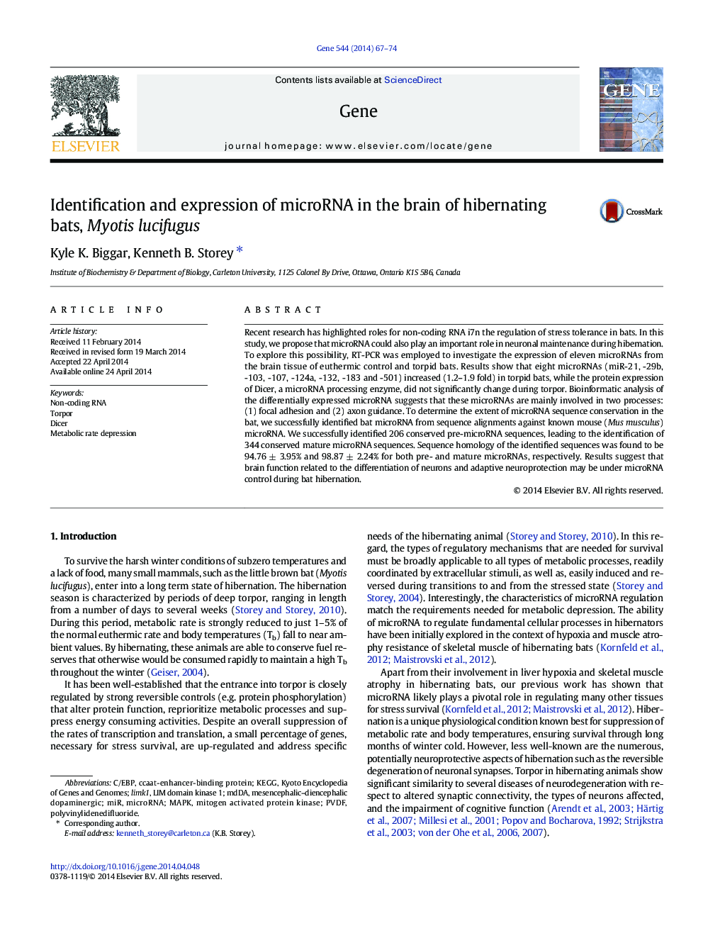 Identification and expression of microRNA in the brain of hibernating bats, Myotis lucifugus