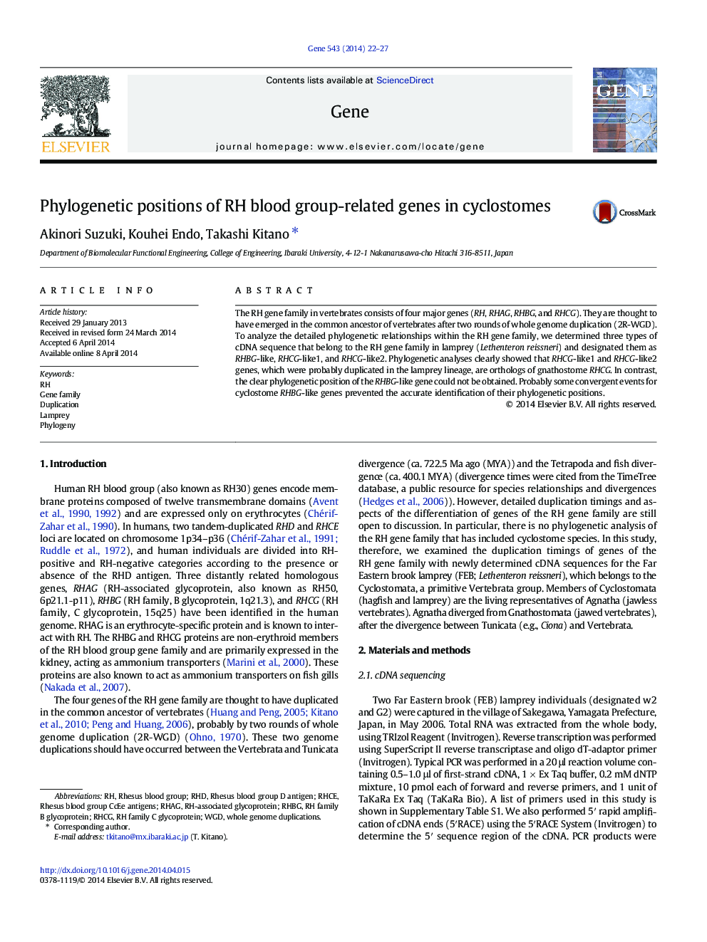 Phylogenetic positions of RH blood group-related genes in cyclostomes