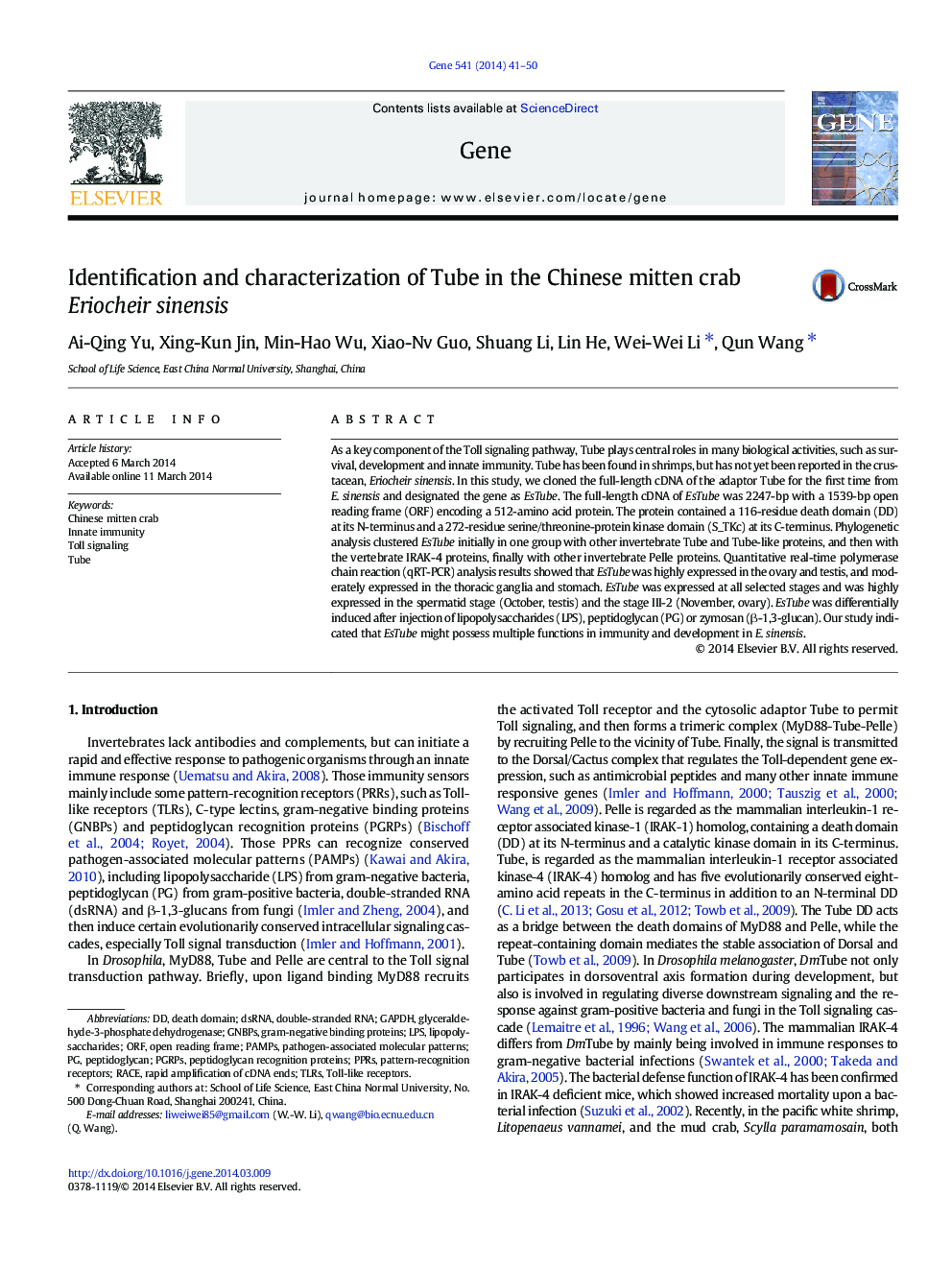 Identification and characterization of Tube in the Chinese mitten crab Eriocheir sinensis