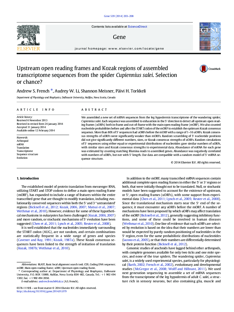 Upstream open reading frames and Kozak regions of assembled transcriptome sequences from the spider Cupiennius salei. Selection or chance?