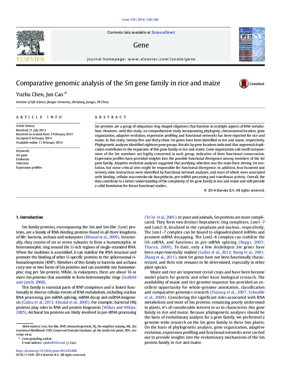 Comparative genomic analysis of the Sm gene family in rice and maize