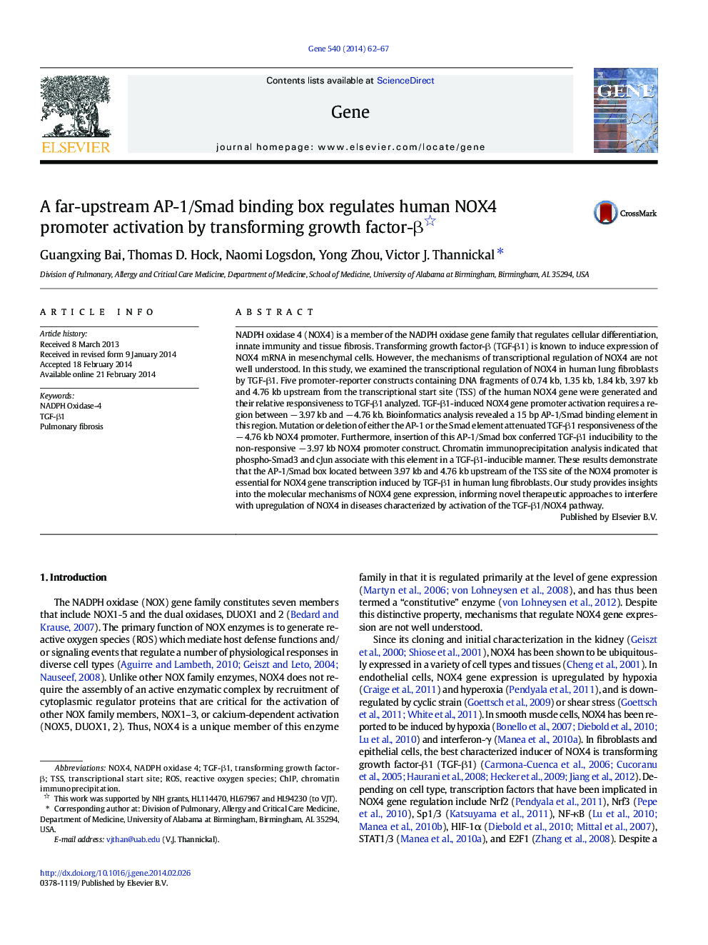 A far-upstream AP-1/Smad binding box regulates human NOX4 promoter activation by transforming growth factor-β 