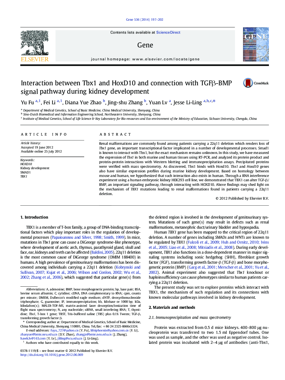 Interaction between Tbx1 and HoxD10 and connection with TGFβ-BMP signal pathway during kidney development