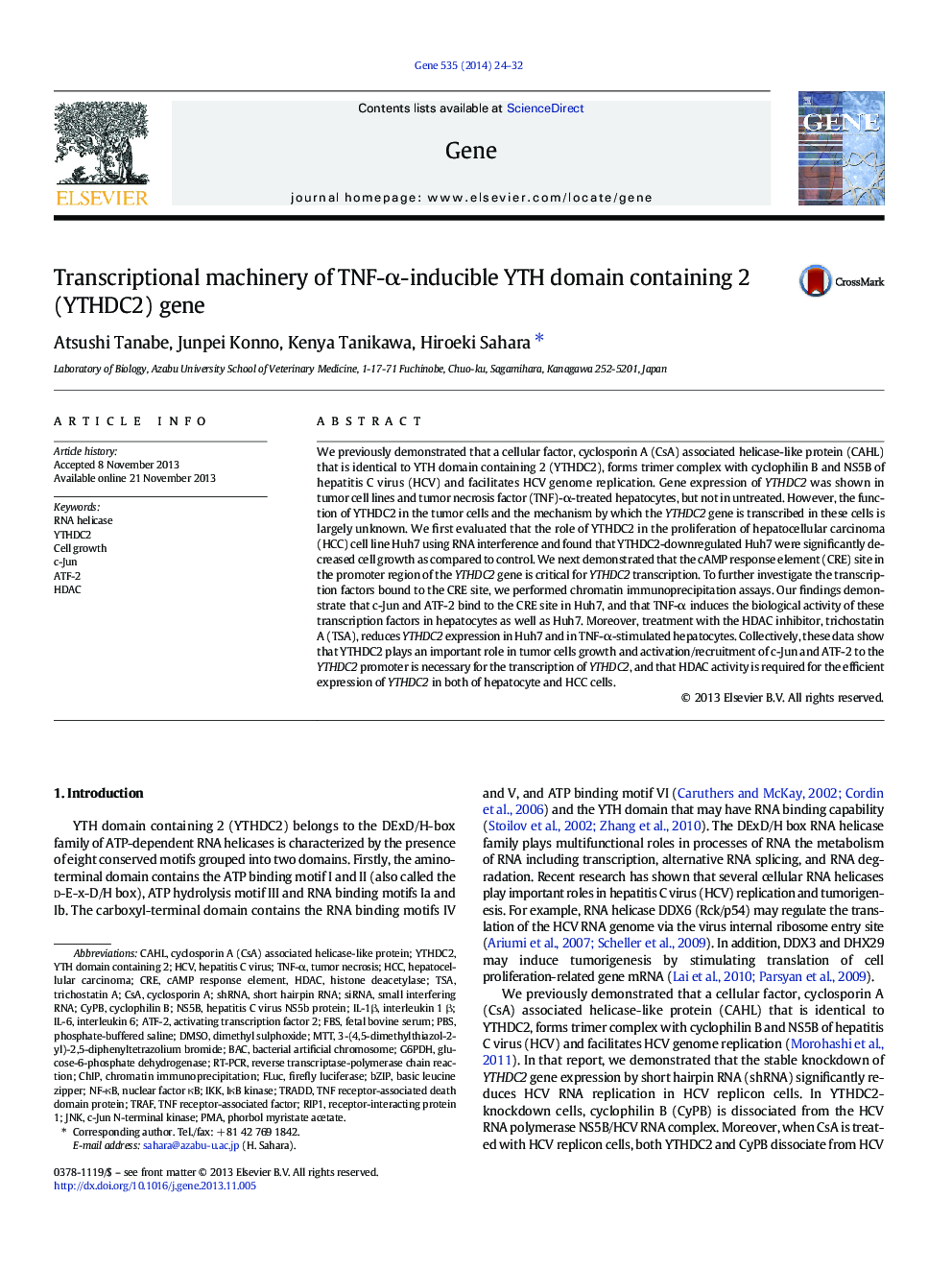 Transcriptional machinery of TNF-α-inducible YTH domain containing 2 (YTHDC2) gene