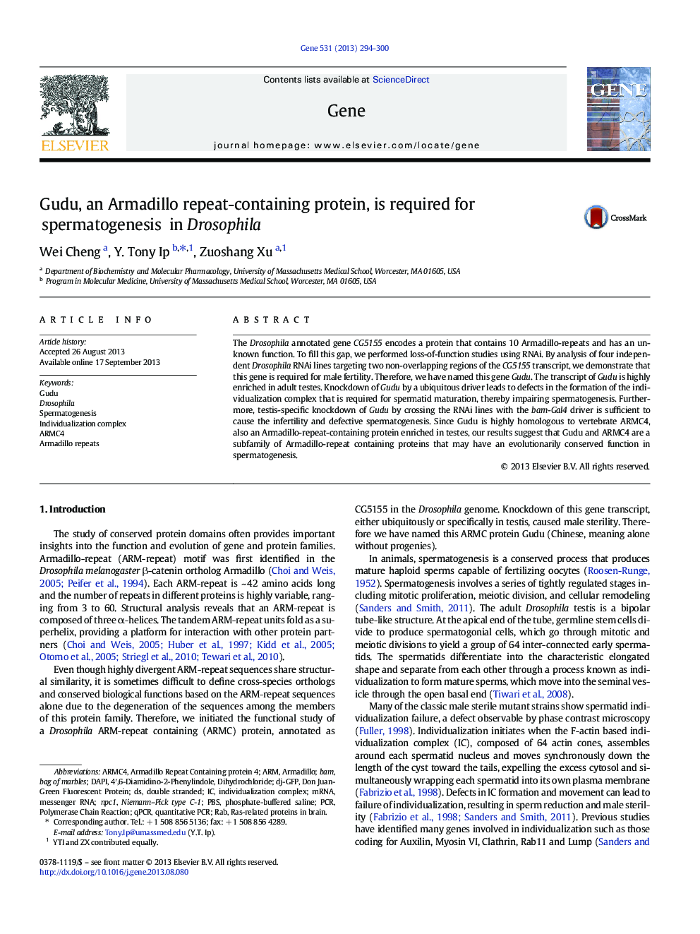 Gudu, an Armadillo repeat-containing protein, is required for spermatogenesis in Drosophila