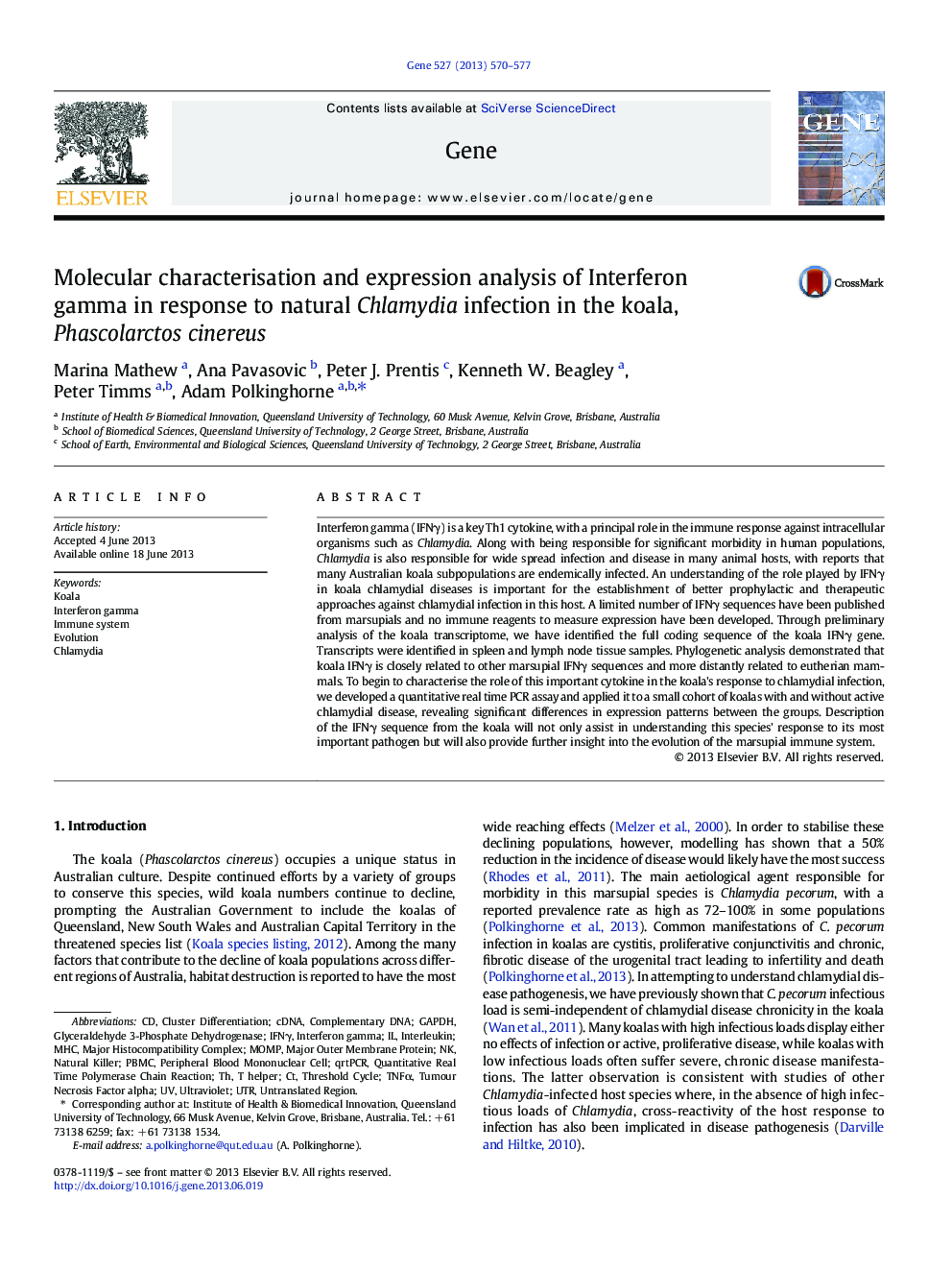 Molecular characterisation and expression analysis of Interferon gamma in response to natural Chlamydia infection in the koala, Phascolarctos cinereus