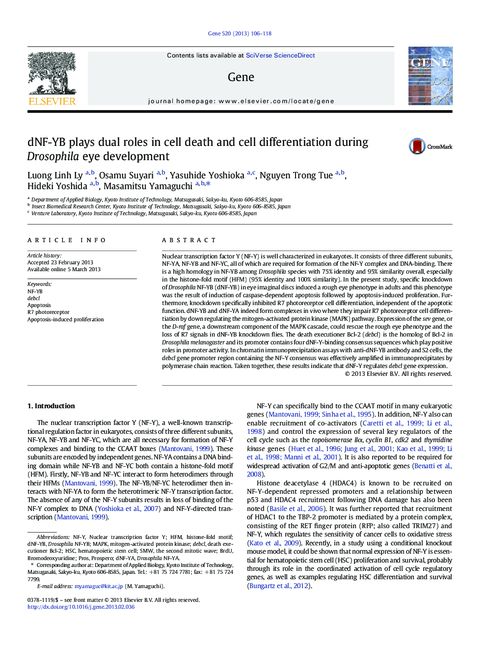 dNF-YB plays dual roles in cell death and cell differentiation during Drosophila eye development