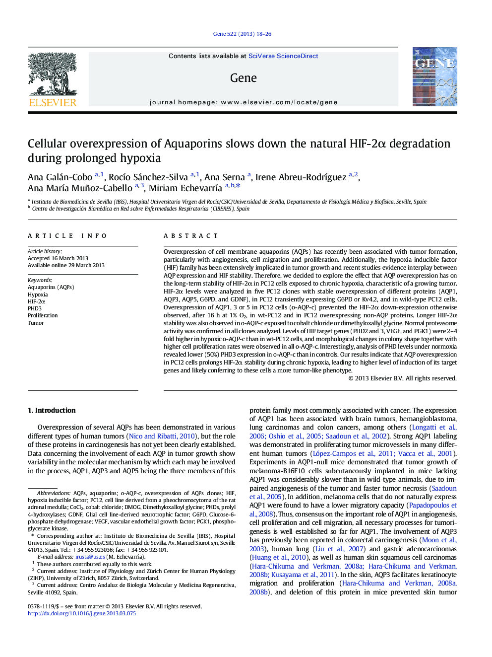 Cellular overexpression of Aquaporins slows down the natural HIF-2α degradation during prolonged hypoxia