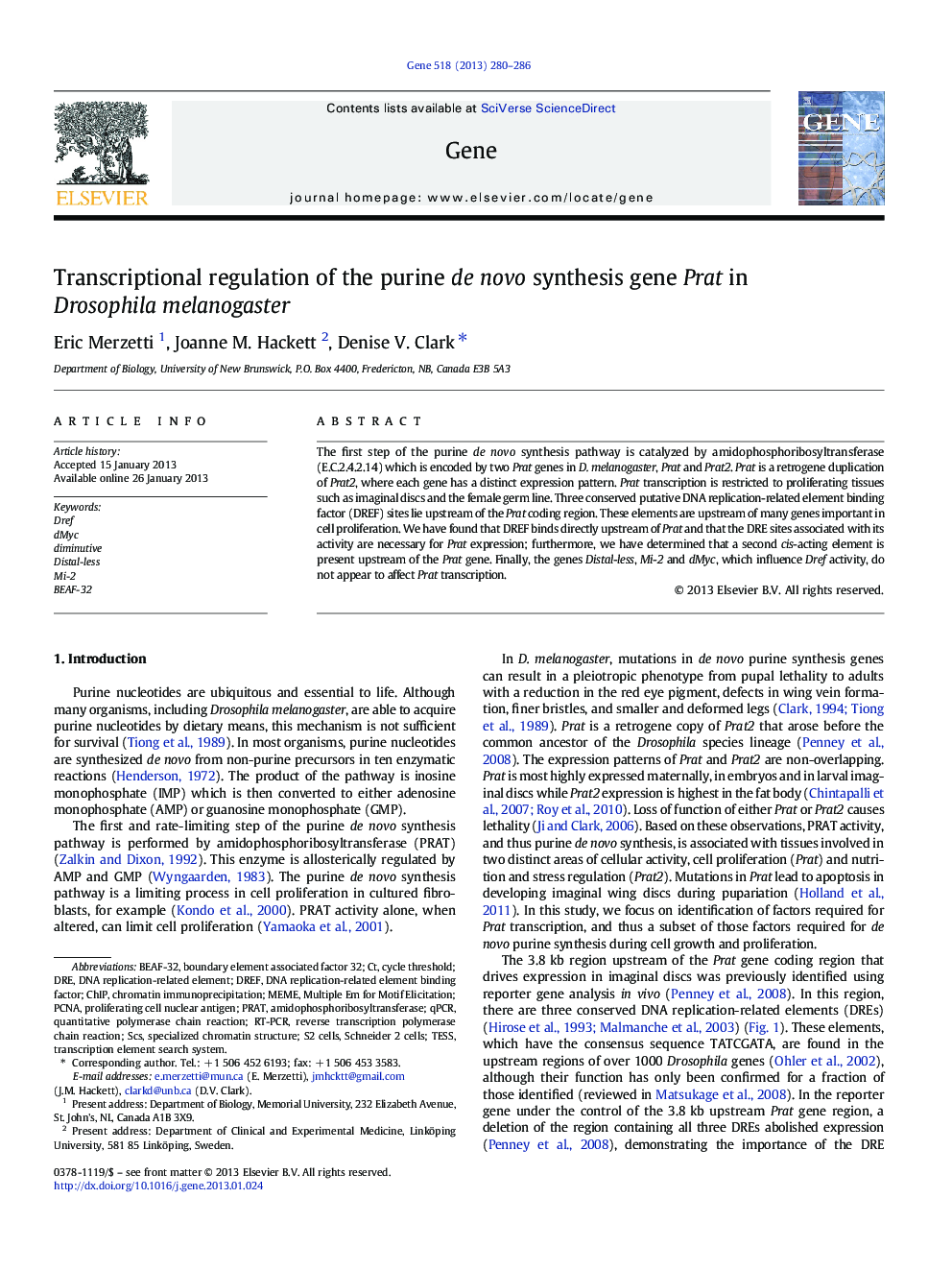 Transcriptional regulation of the purine de novo synthesis gene Prat in Drosophila melanogaster