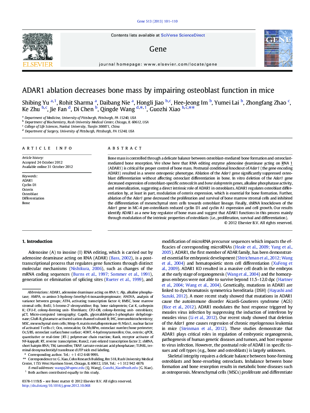 ADAR1 ablation decreases bone mass by impairing osteoblast function in mice