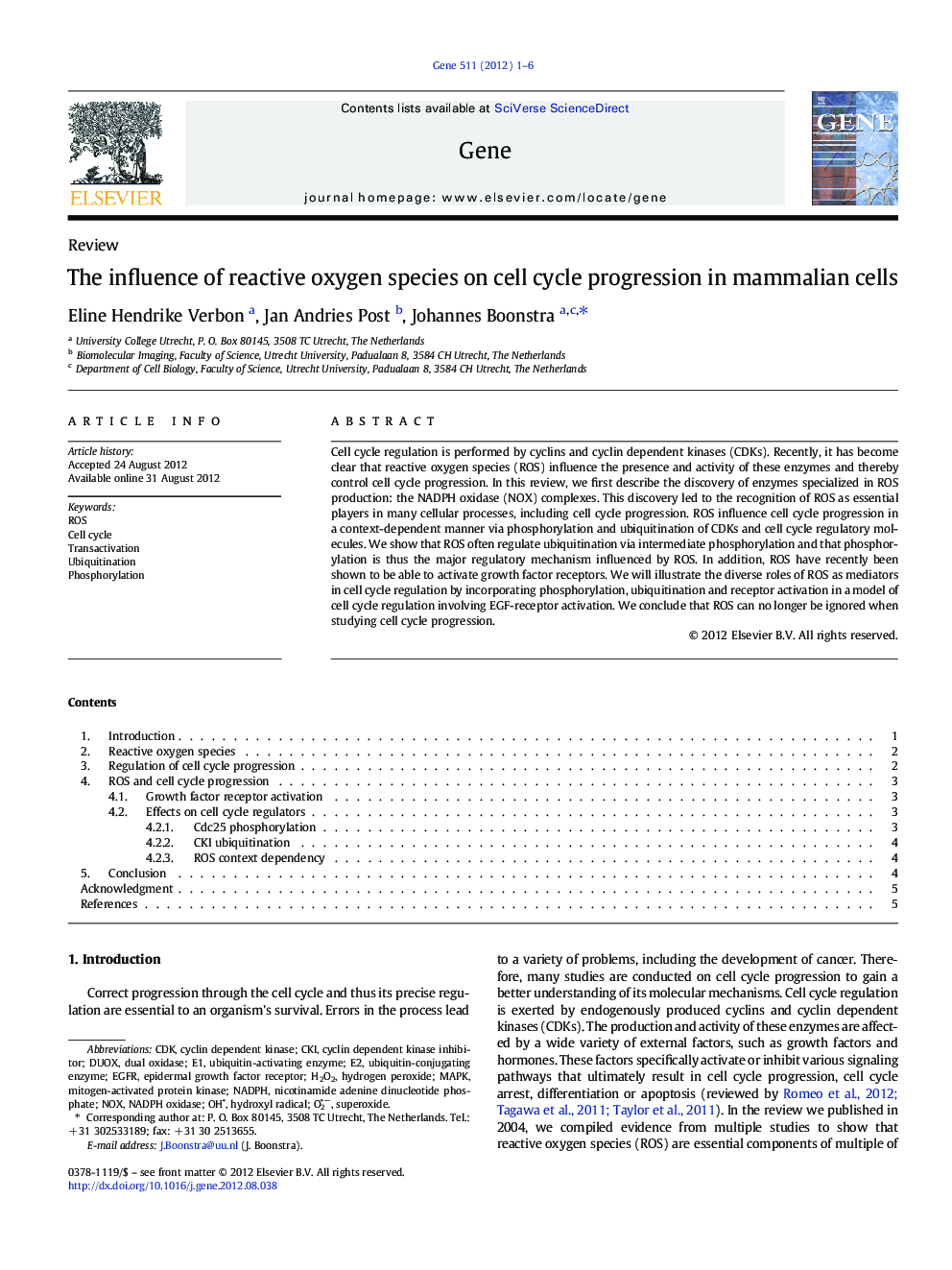 The influence of reactive oxygen species on cell cycle progression in mammalian cells