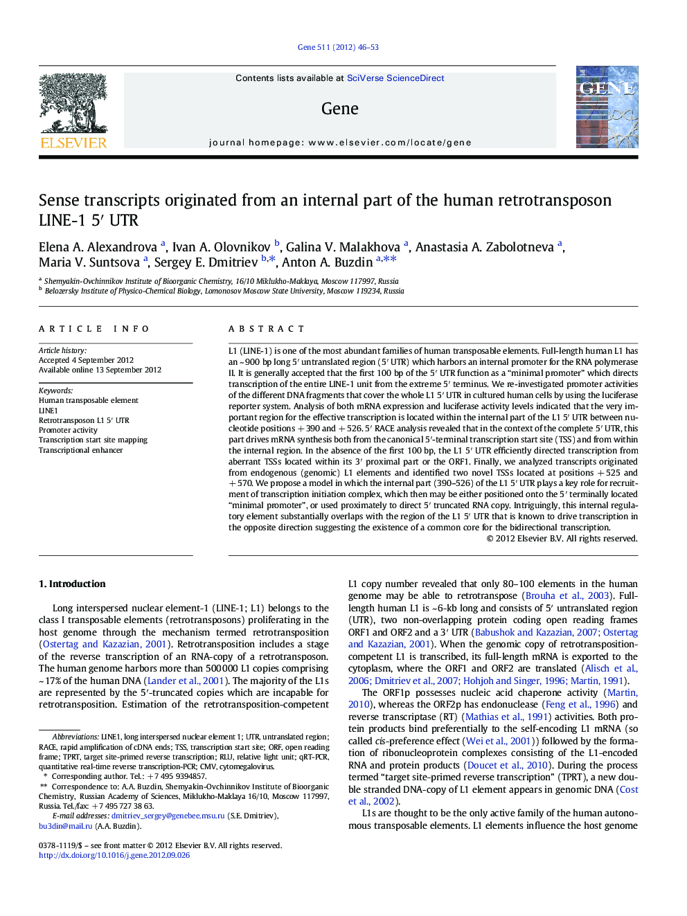 Sense transcripts originated from an internal part of the human retrotransposon LINE-1 5′ UTR