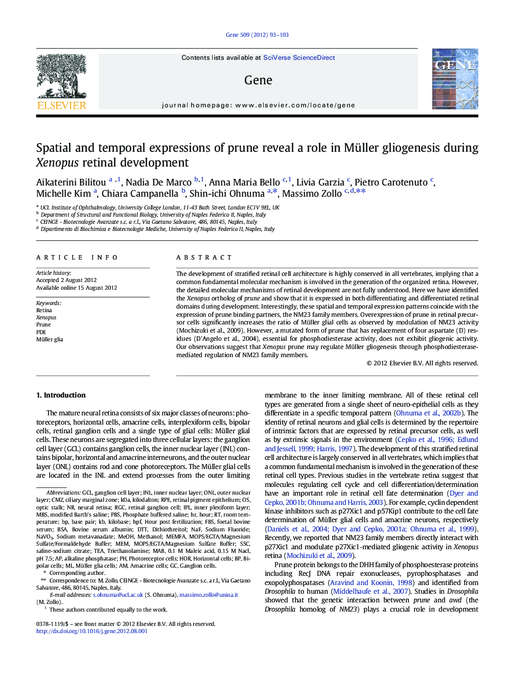 Spatial and temporal expressions of prune reveal a role in Müller gliogenesis during Xenopus retinal development