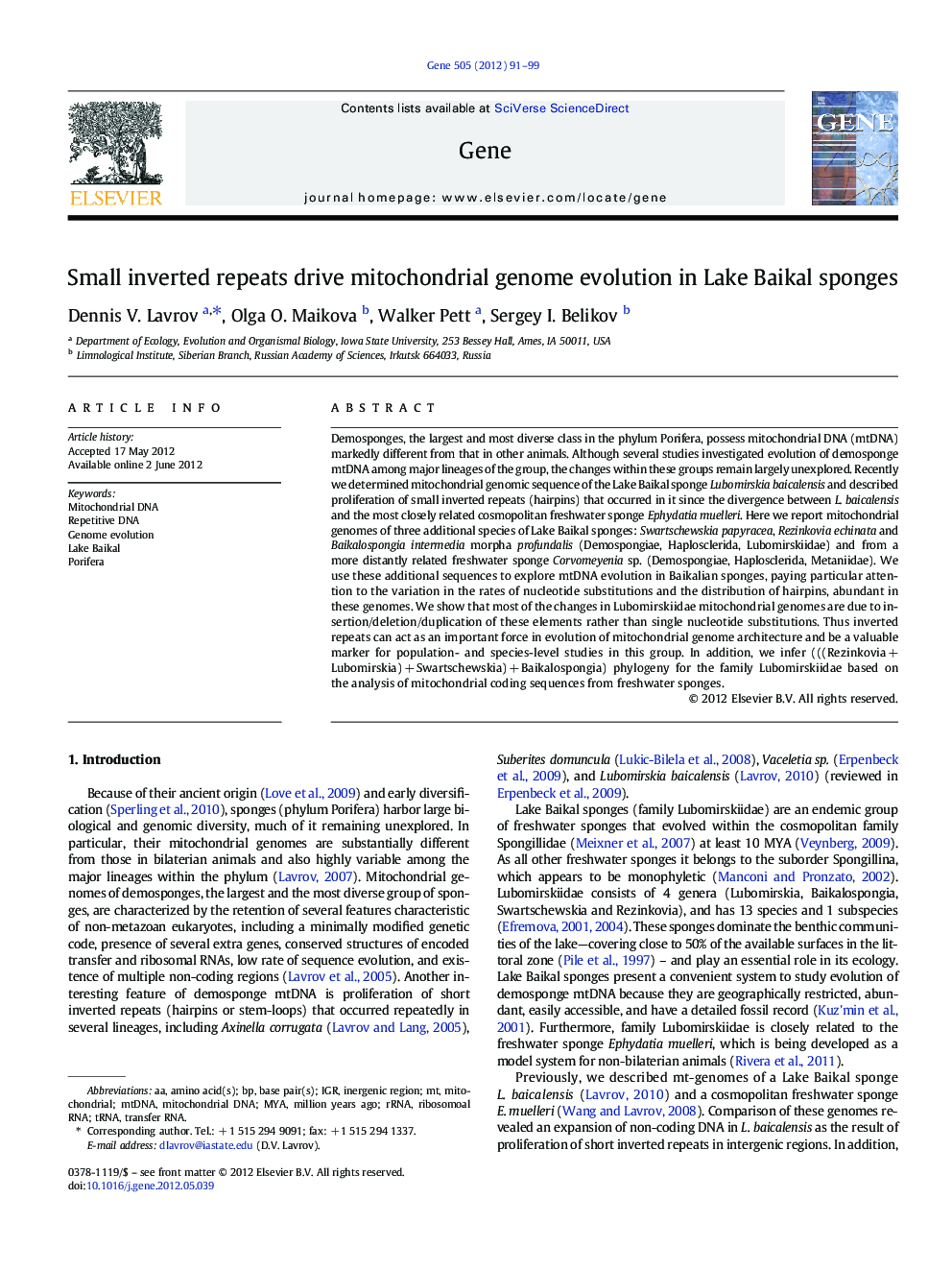 Small inverted repeats drive mitochondrial genome evolution in Lake Baikal sponges