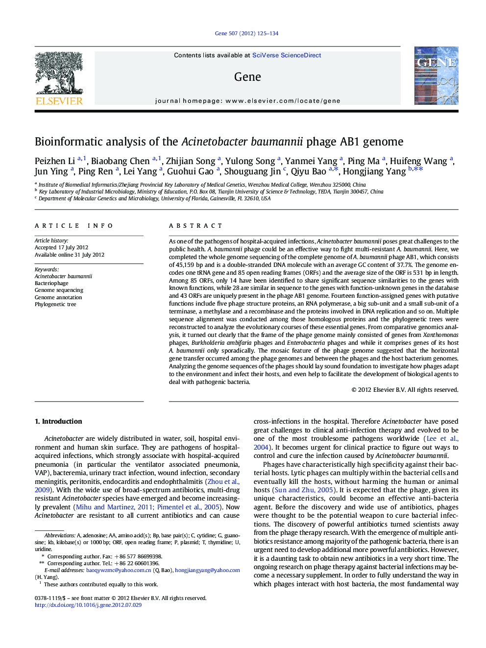 Bioinformatic analysis of the Acinetobacter baumannii phage AB1 genome