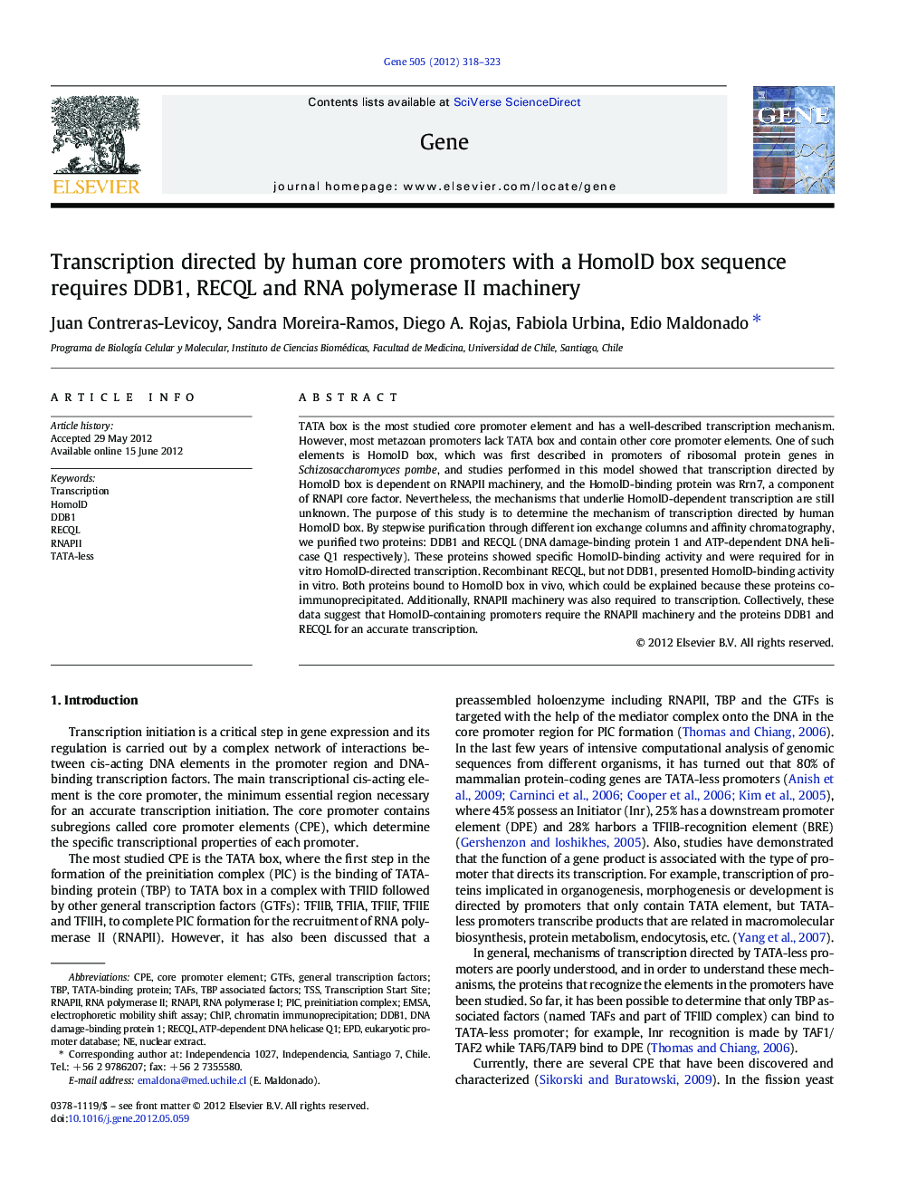 Transcription directed by human core promoters with a HomolD box sequence requires DDB1, RECQL and RNA polymerase II machinery