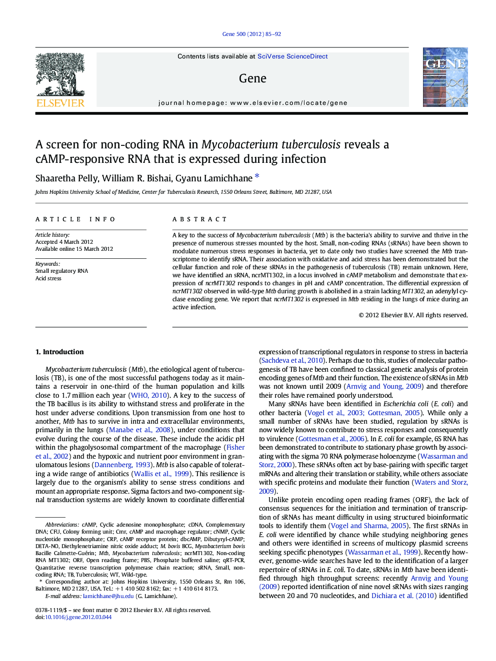 A screen for non-coding RNA in Mycobacterium tuberculosis reveals a cAMP-responsive RNA that is expressed during infection