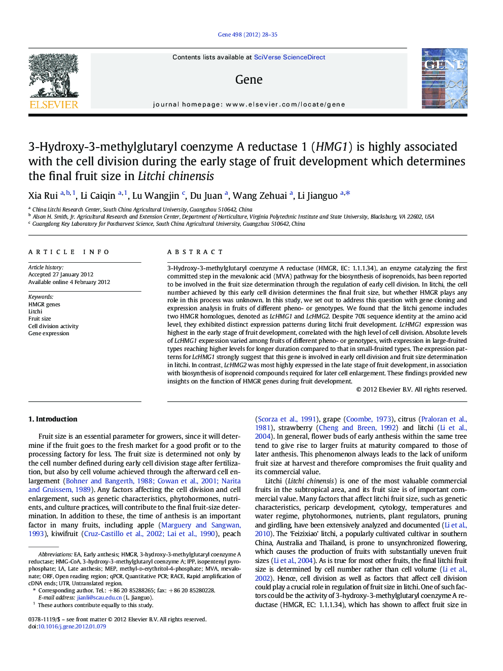 3-Hydroxy-3-methylglutaryl coenzyme A reductase 1 (HMG1) is highly associated with the cell division during the early stage of fruit development which determines the final fruit size in Litchi chinensis