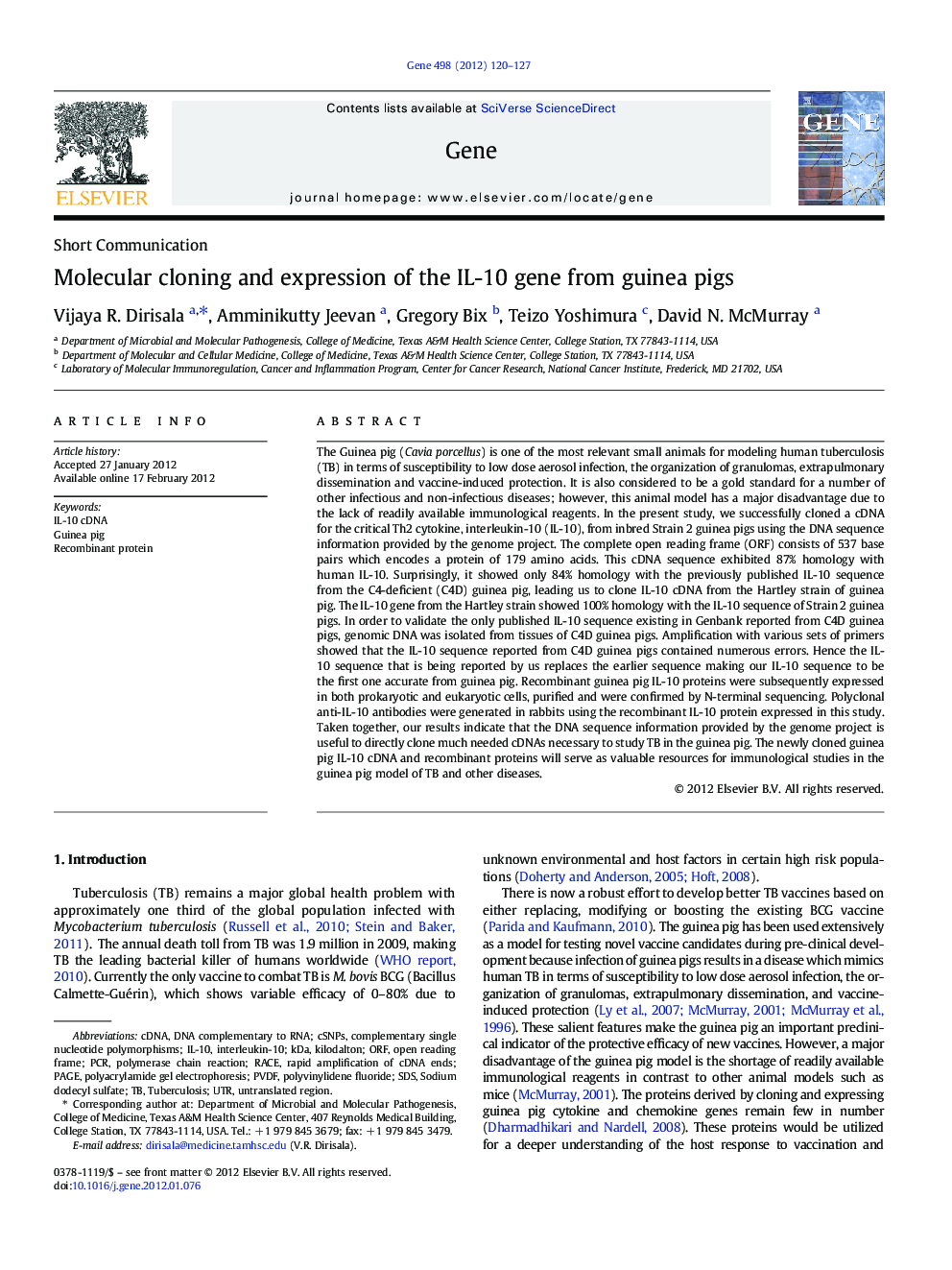 Molecular cloning and expression of the IL-10 gene from guinea pigs