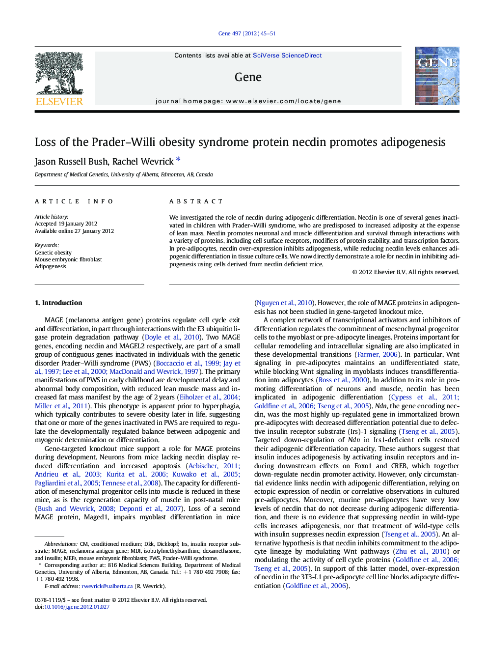 Loss of the Prader–Willi obesity syndrome protein necdin promotes adipogenesis