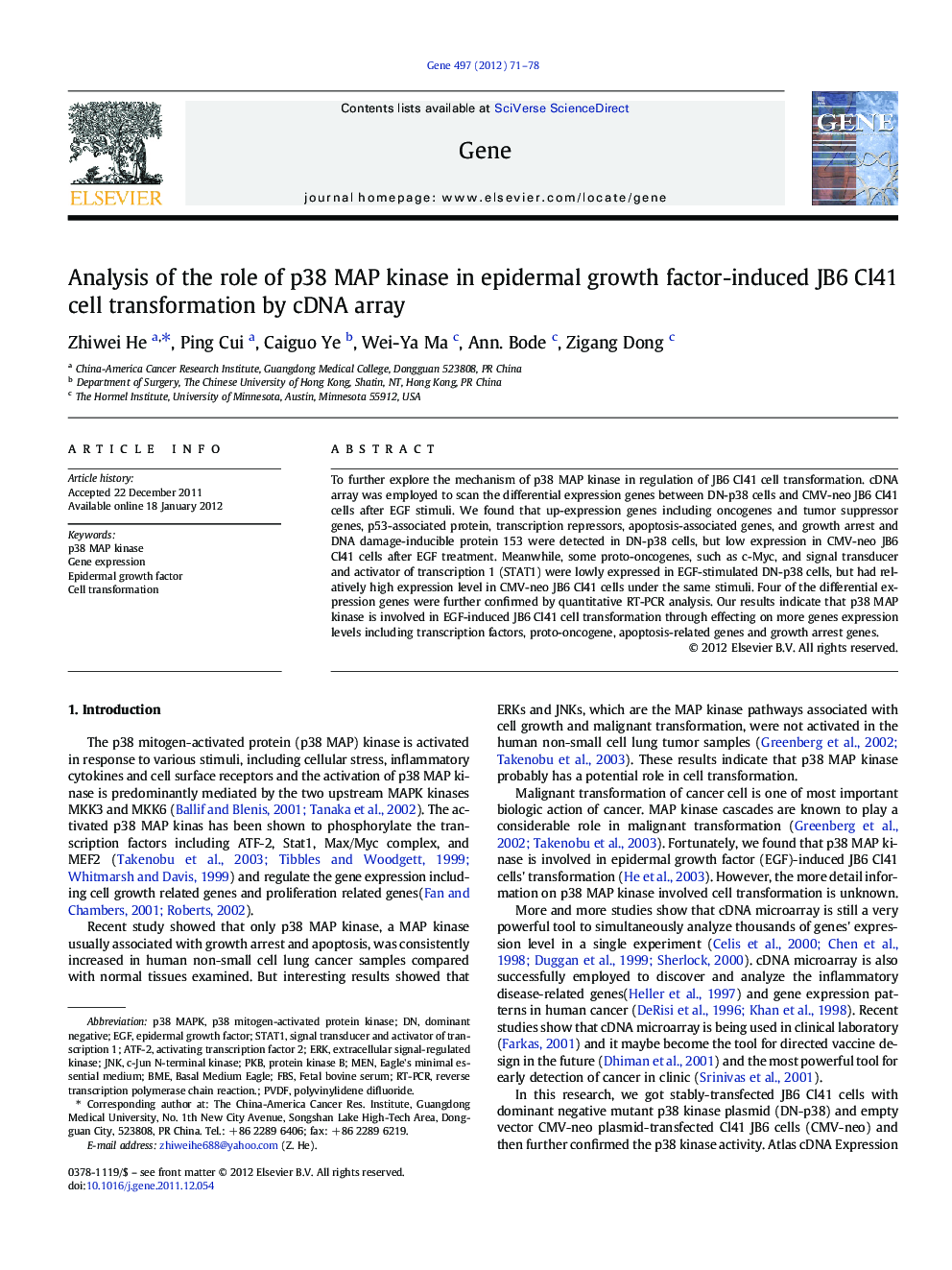 Analysis of the role of p38 MAP kinase in epidermal growth factor-induced JB6 Cl41 cell transformation by cDNA array