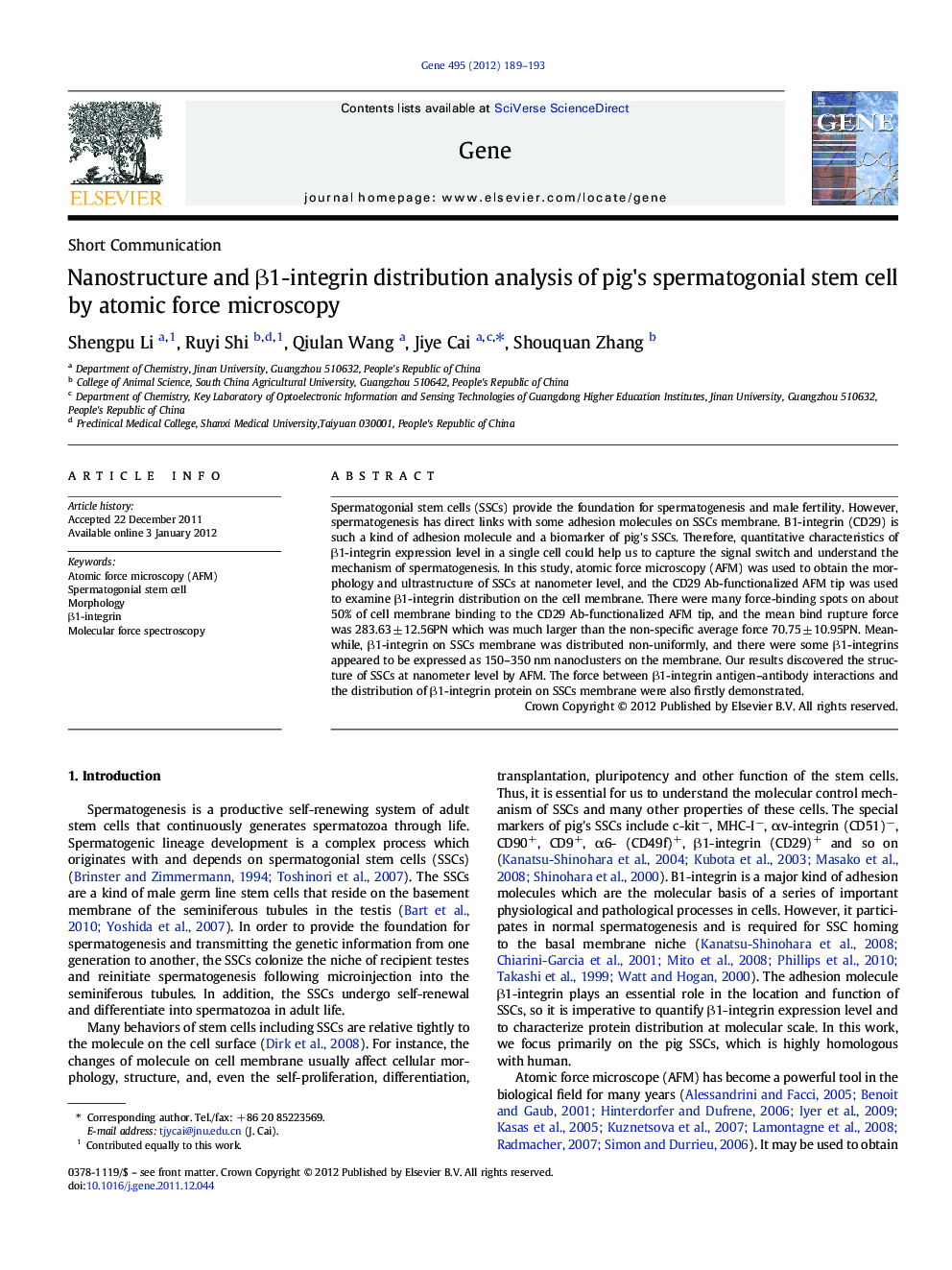 Nanostructure and β1-integrin distribution analysis of pig's spermatogonial stem cell by atomic force microscopy