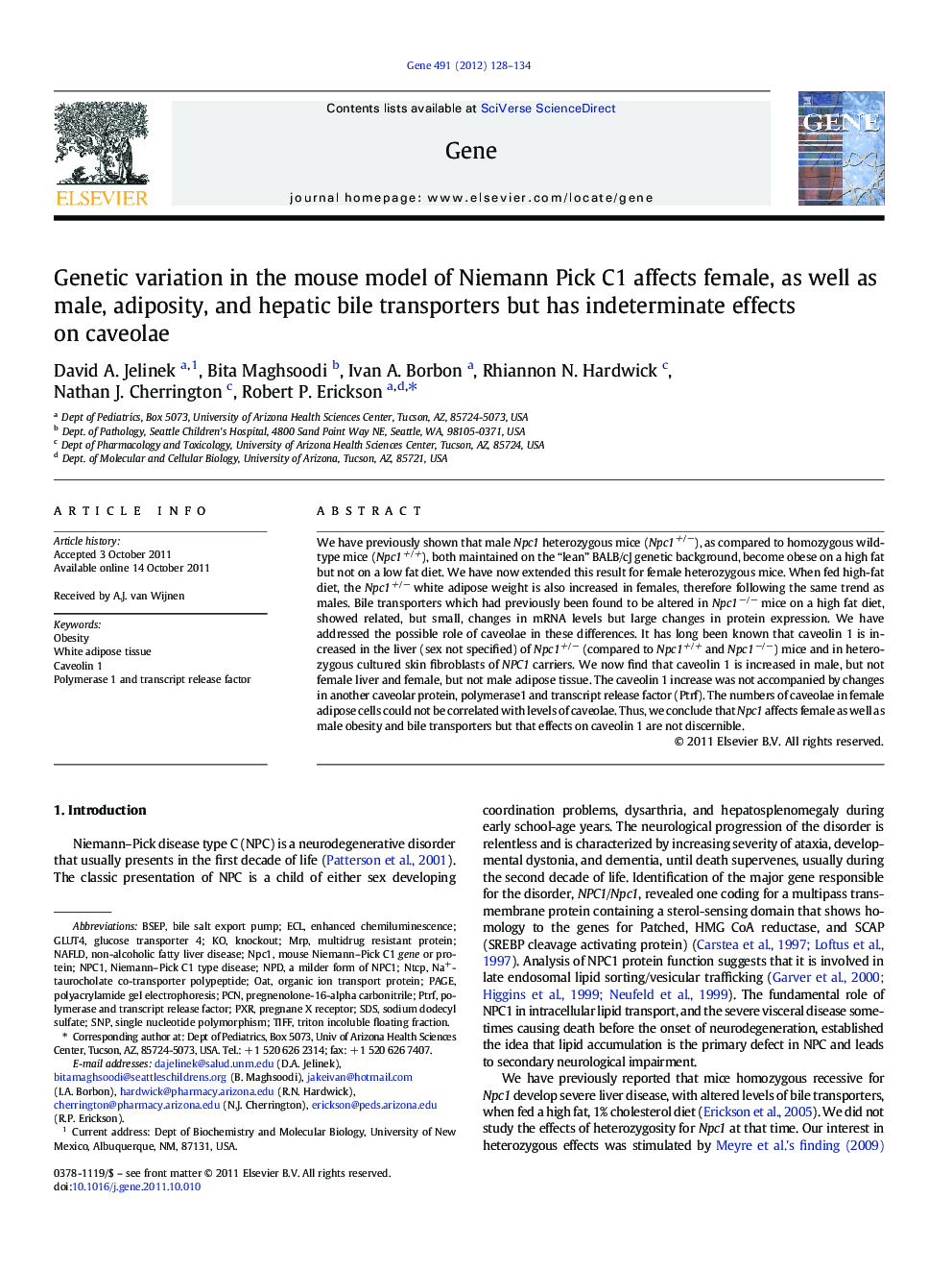 Genetic variation in the mouse model of Niemann Pick C1 affects female, as well as male, adiposity, and hepatic bile transporters but has indeterminate effects on caveolae