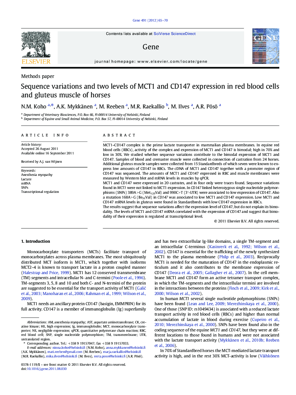 Sequence variations and two levels of MCT1 and CD147 expression in red blood cells and gluteus muscle of horses