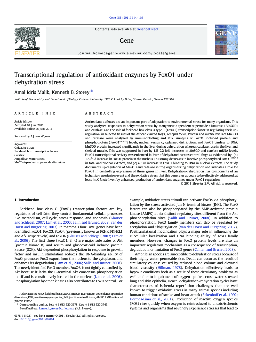 Transcriptional regulation of antioxidant enzymes by FoxO1 under dehydration stress