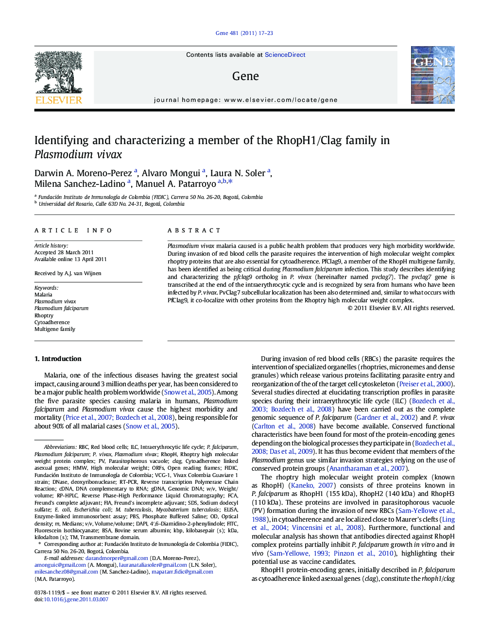 Identifying and characterizing a member of the RhopH1/Clag family in Plasmodium vivax