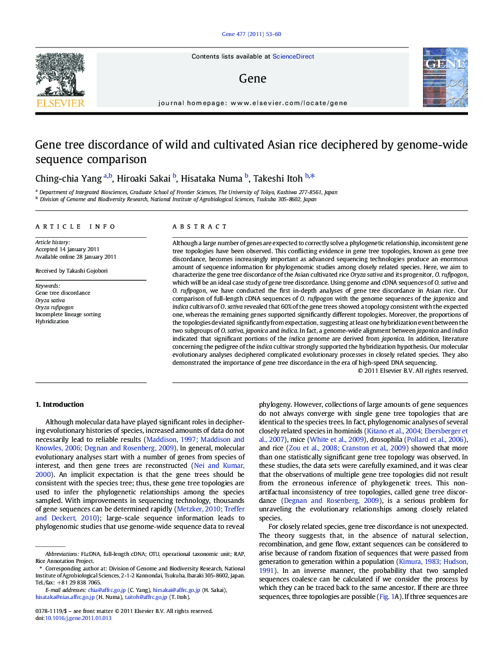 Gene tree discordance of wild and cultivated Asian rice deciphered by genome-wide sequence comparison