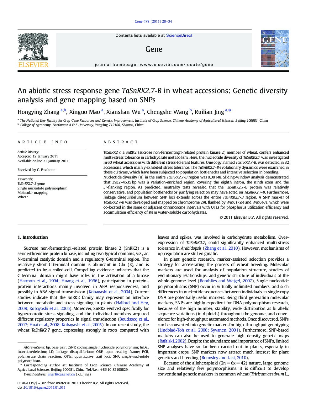 An abiotic stress response gene TaSnRK2.7-B in wheat accessions: Genetic diversity analysis and gene mapping based on SNPs